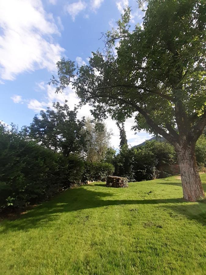 San Antonia Lägenhet Caldaro Exteriör bild