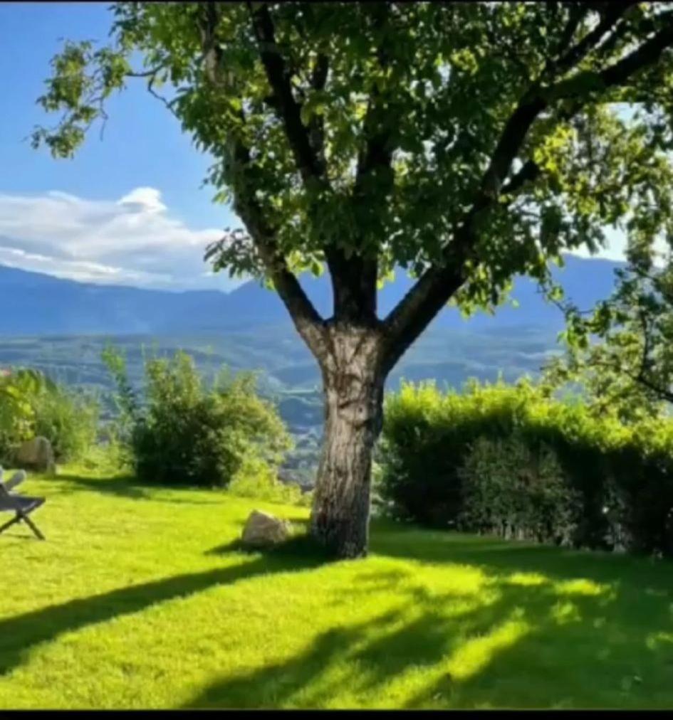 San Antonia Lägenhet Caldaro Exteriör bild